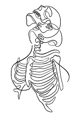 Continuous Line Art: Skeleton and Face