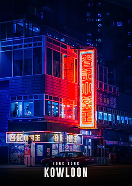 Hong Kong Kowloon Neon Night