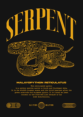 Reticulated Python Pet Snake Owner