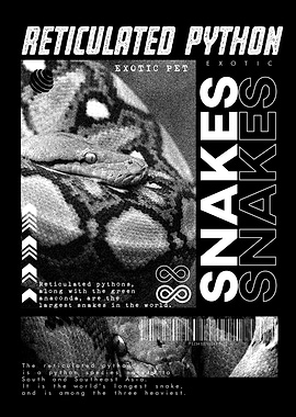 Reticulated Python Exotic Pet Poster