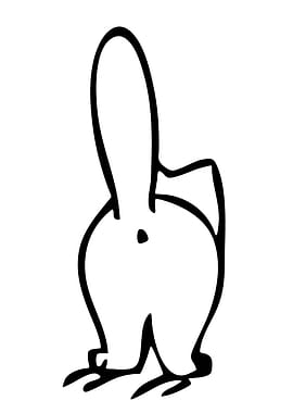 cat seen from behind with its hole