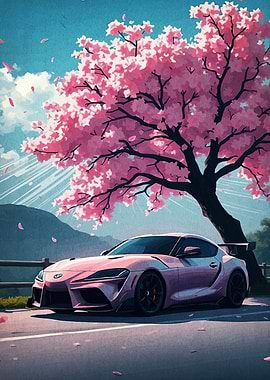 Pink Supra with Cherry Blossoms