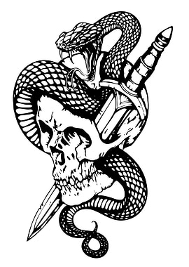 Skull, Snake, and Dagger Illustration
