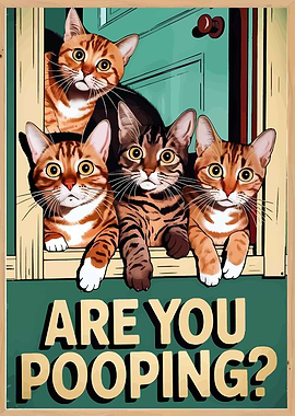 Are You Pooping? Cats at Window