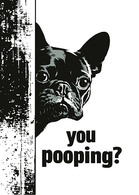 Peeking Dog - You Pooping?