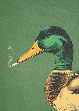 Smoking Duck Portrait