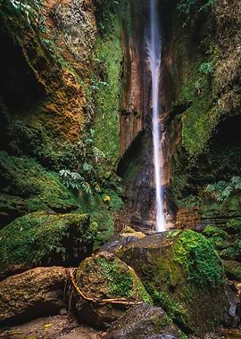 Waterfall in Lush Green Forest