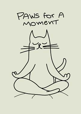 Meditating Cat
