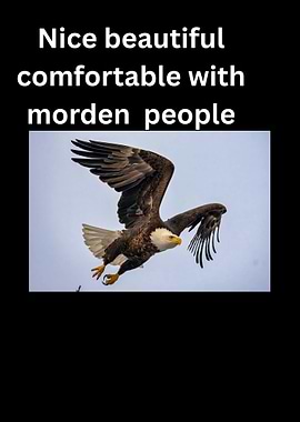 Bald Eagle in Flight