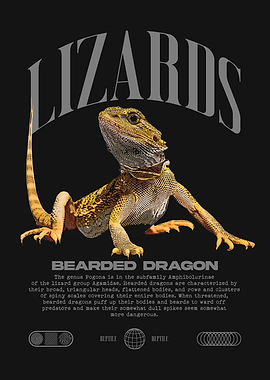 Bearded Dragon Reptile Owner