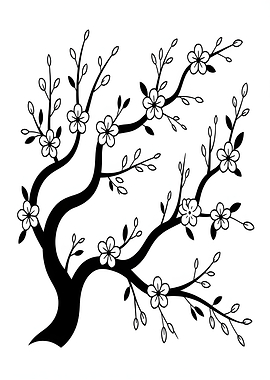 Black and White Cherry Blossom Tree