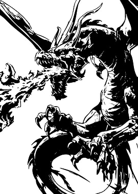 Black and White Dragon Illustration