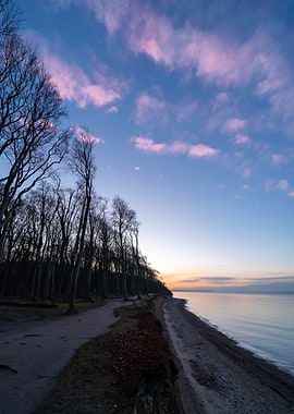 Coastal Forest during Sunset at Gespensterwald (Germany)