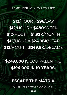 Escape the Matrix – Wage Reality Breakdown Minimalist Financial Motivation Poster