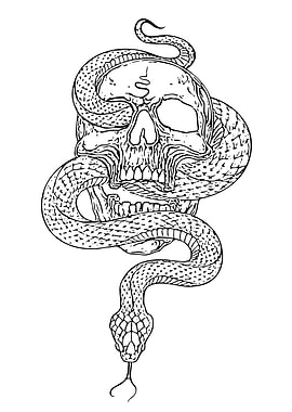Skull and Snake Black and White