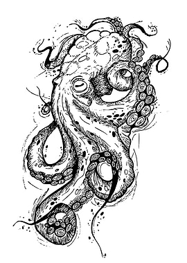 Detailed Octopus Ink Drawing
