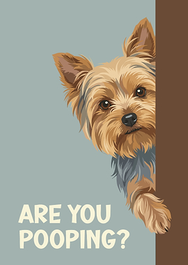Yorkie - Are You Pooping?