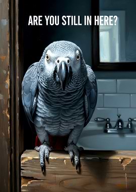 Parrot in Bathroom