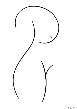 Minimalist Line Art: Female Torso