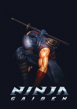Ninja Gaiden Game Cover Art