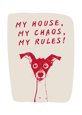 My House, My Chaos, My Rules