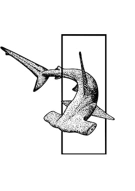 Hammerhead Shark Black and White Illustration