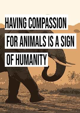 Compassion for Animals Poster