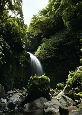 Lush Waterfall in the Green Island Sao Miguel