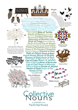 Collective Nouns: Animals of the Pacific Northwest