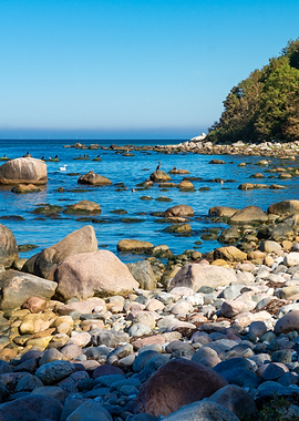 Wild Baltic Sea Shore summer