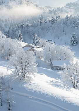 Winter Snow-covered Houses