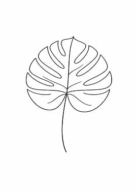 Monstera Leaf Line Art
