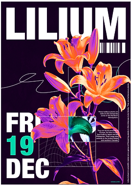 Lilium Floral Poster Design