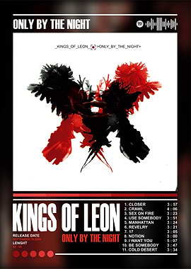 Kings of Leon - Only By The Night