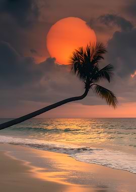 Tropical beach sunset with palm tree