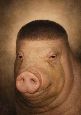 Fade Pig, Buzz Cut Pig, Pigger, or you name it