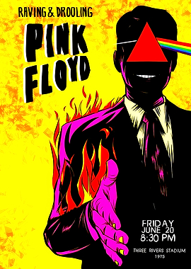 Pink Floyd Concert Poster Art