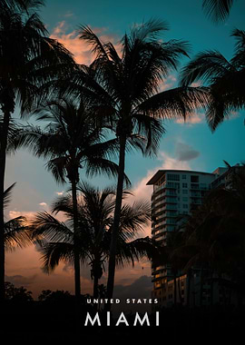 Miami Palm Trees at Sunset