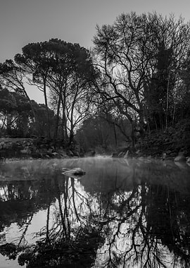 Monochrome River Landscape with Tree Reflections