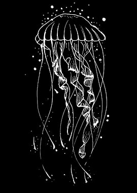 Jellyfish Illustration on Black Background