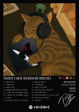 Cat Listening to Music Album