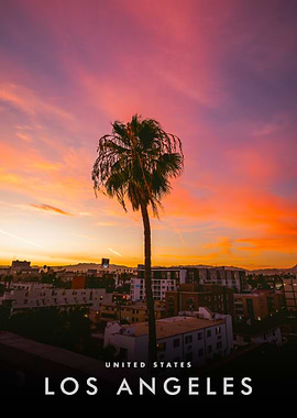 Los Angeles Sunset Palm Tree