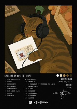 Call Me If You Get Lost Cat