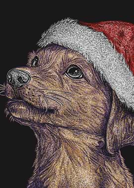 Festive Dog Portrait with Santa Hat