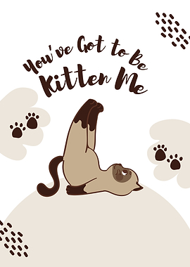 You've Got to be Kitten Me