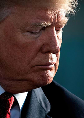 Donald Trump Portrait