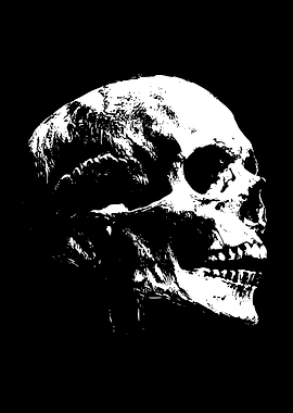 White Skull on Black Background