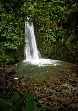 Lush Waterfall in Verdant Forest
