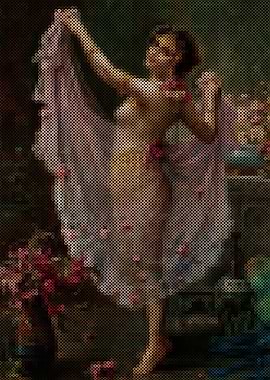 A Harem Dancer