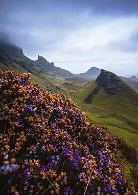 Scottish Highlands Landscape with Flowers